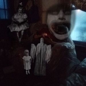 Meet your Posher, Misty